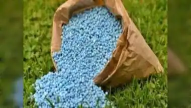 15 Fertiliser Ships Cross Hormuz, Boost India's Stocks