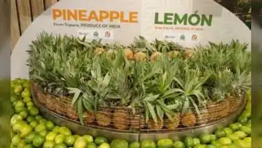 Tripura’s Organic Exports Win Strong Response in Dubai