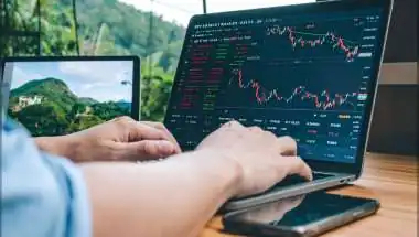 AI, Weak Spending to Slow India's IT Growth: Crisil