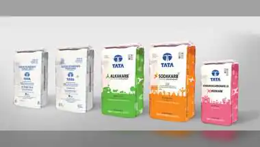 Tata Chemicals Reports ₹17 Crore Q1 Loss as Margins Fall