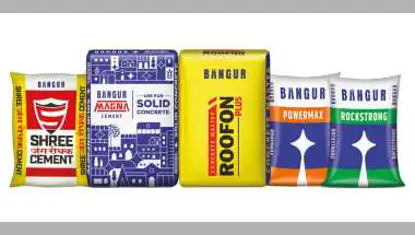 Shree Cement Q1 Profit Falls 17.7% to Rs 529 Crore