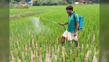'Per Drop More Crop' Brings 115 Lakh Hectares Under Irrigation