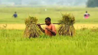 Regenerative Agriculture Gains Momentum in India