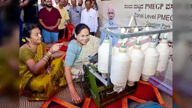 PMEGP: ₹24,398 Crore Subsidy, 8.12 Lakh Units, 73 Lakh Jobs