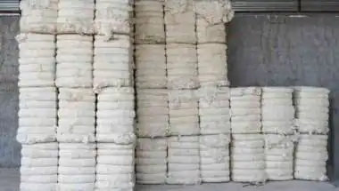 Cotton Import Duty Exemption Extended Till December 31, 2026